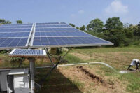 Agriculture S Bright Future With Novergy Solar Pumps