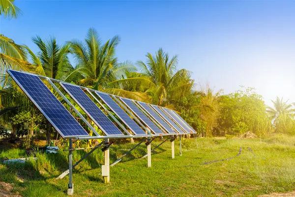 Use cases and benefits of solar in agricultural farms and businesses -  Novergy Solar